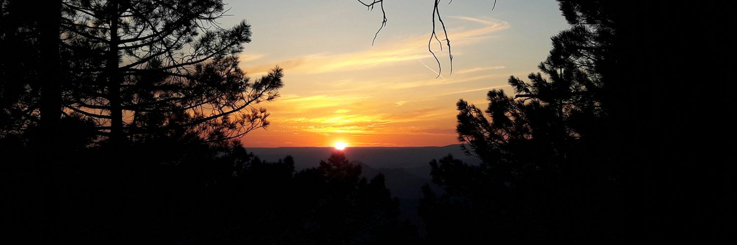 pjcoronado1's profile banner image
