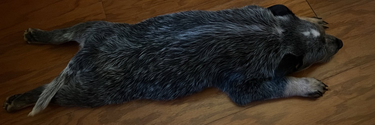 WRafX's profile banner image