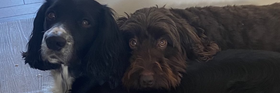 sgjcollins's profile banner image