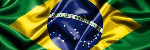 Brazilian White Bear banner
