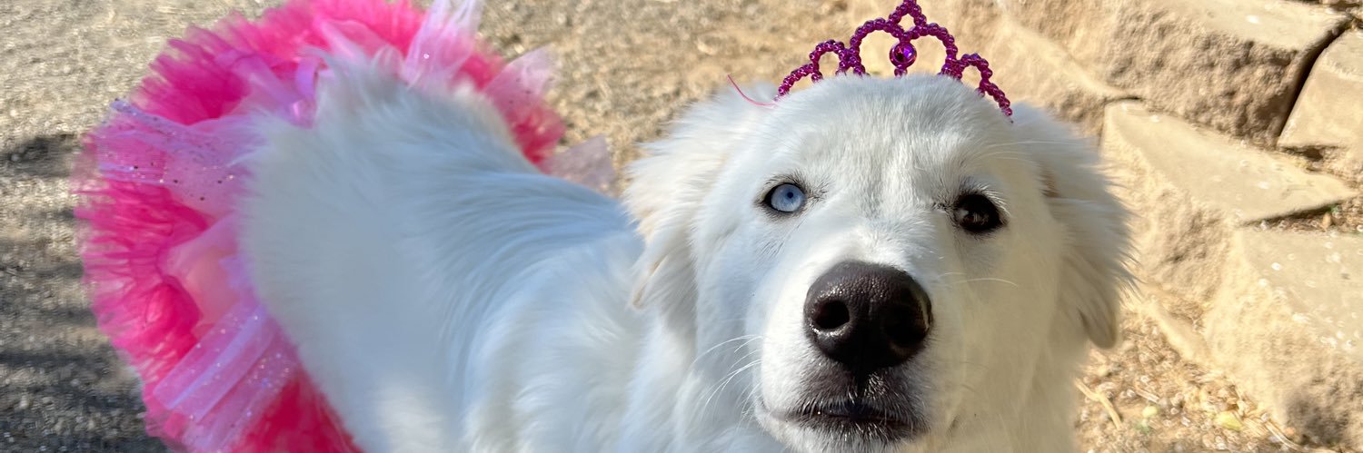chelsmarozik's profile banner image