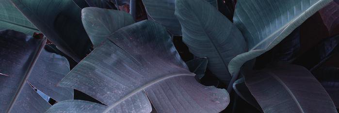 ulikemealready's profile banner image