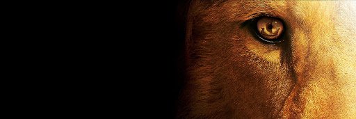 akjota's profile banner image