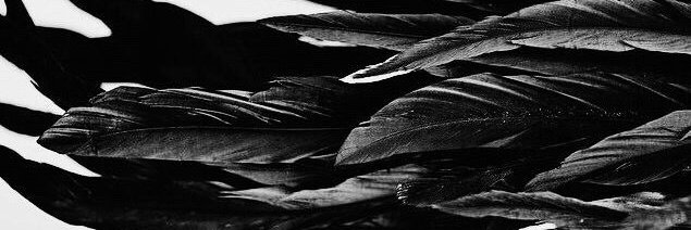 ikkielessar's profile banner image