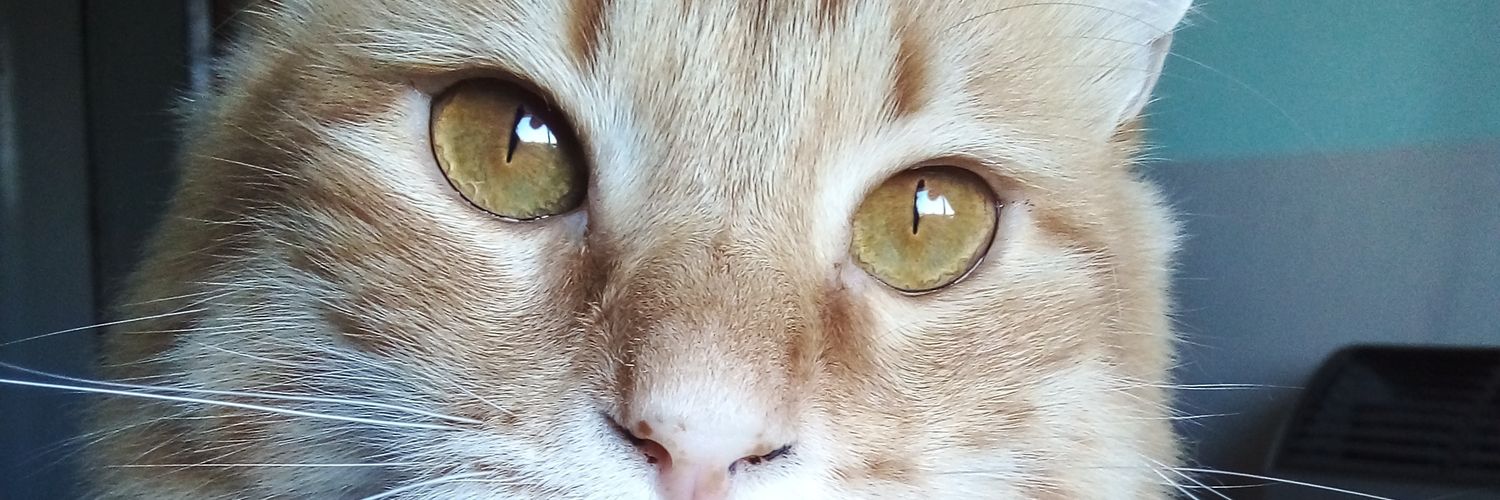 sshhamii's profile banner image