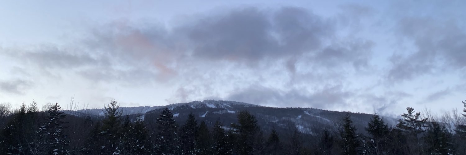 stephtesta07's profile banner image
