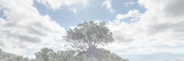 NickRuffilo Profile Banner