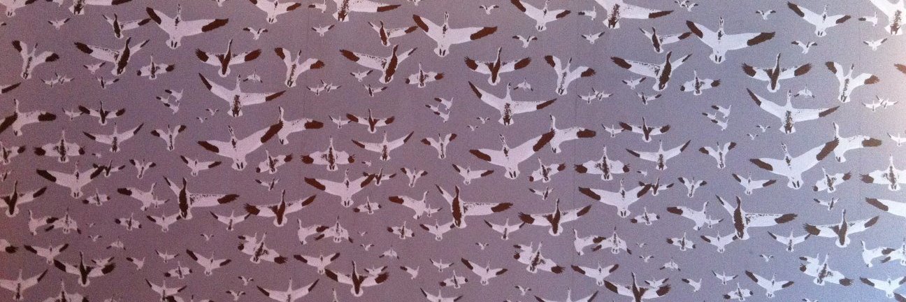 Sparrow banner