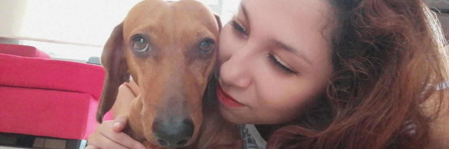 DeyaCastro4's profile banner image