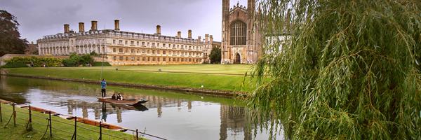 IMAC2 Profile Banner