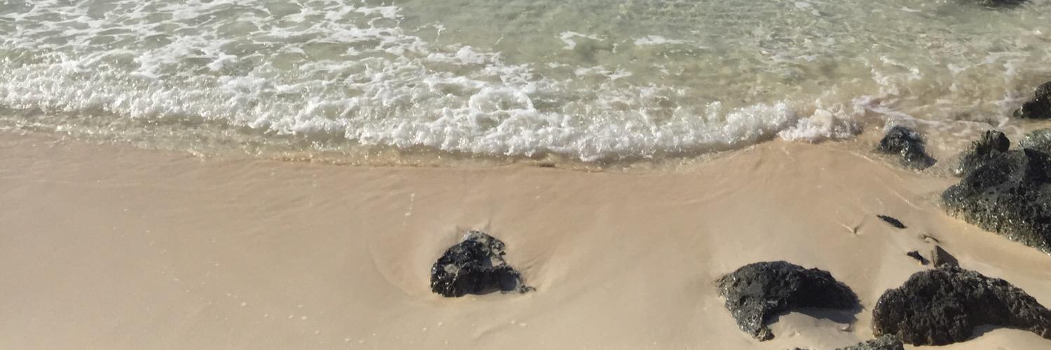 Kelly Stevens banner