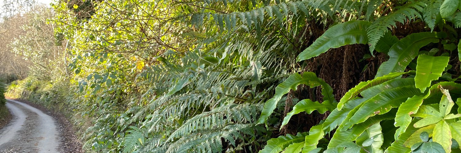 Troy Bronsink banner