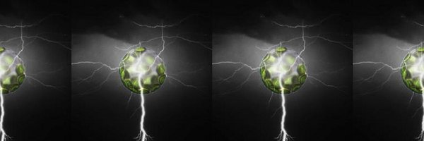 nicoscecchini Profile Banner