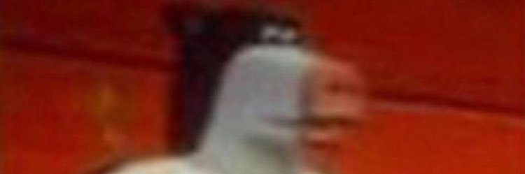 idunknowwut's profile banner image