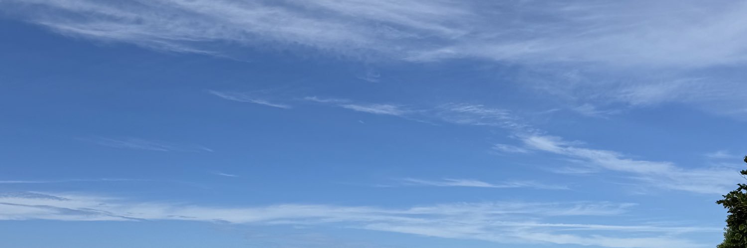 Carlos Esquivel banner