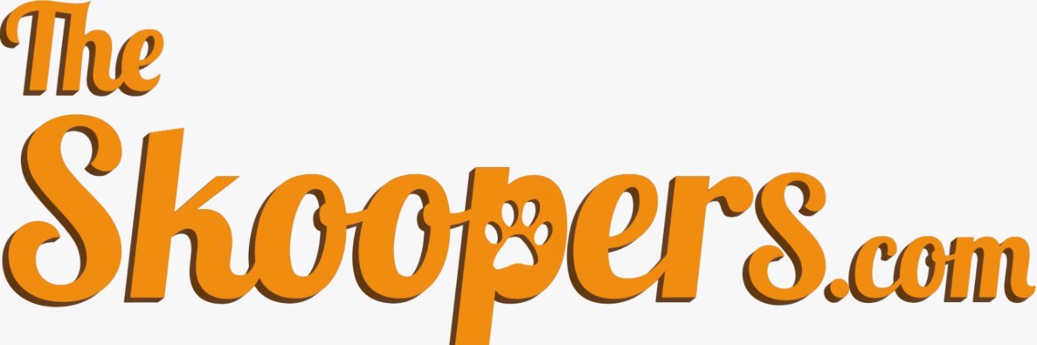 A1PScooperServ's profile banner image