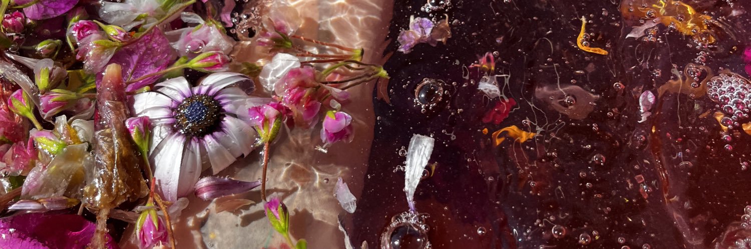 moni_katt's profile banner image