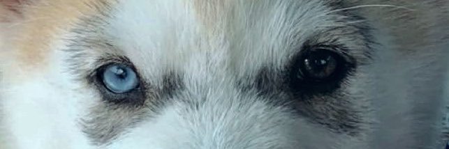 freakyy_d69's profile banner image