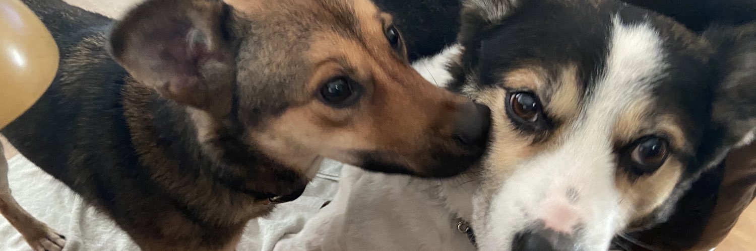 kuusk15's profile banner image