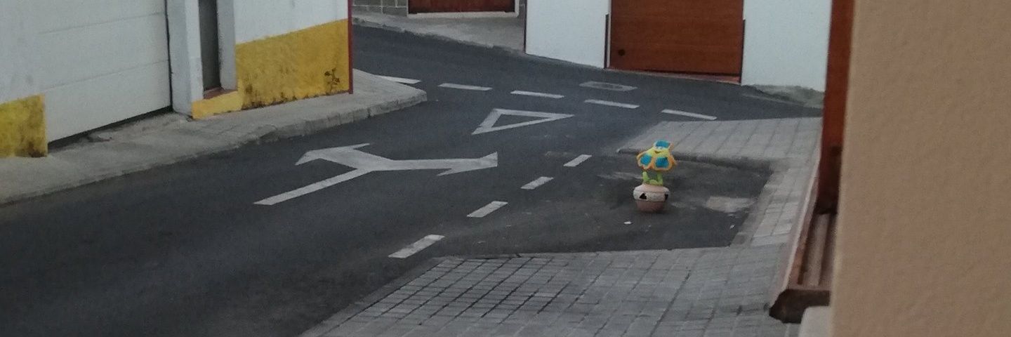 Bat Robbert & Sacred Turtle🧄🌳 banner