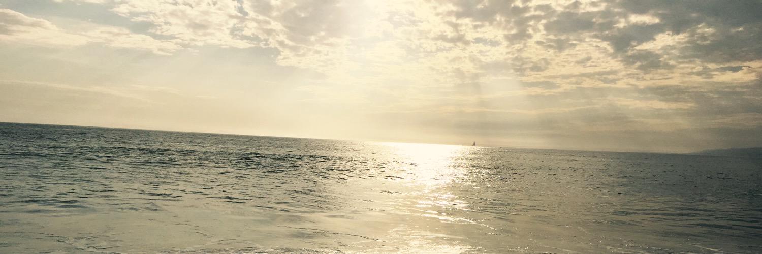 mrsdancingmoon's profile banner image