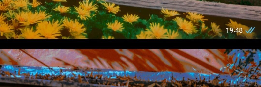 Day_Montiel's profile banner image
