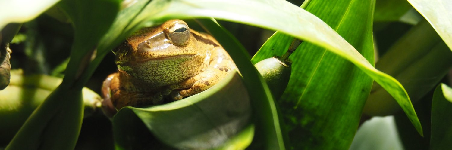Dagny Lüdemann banner