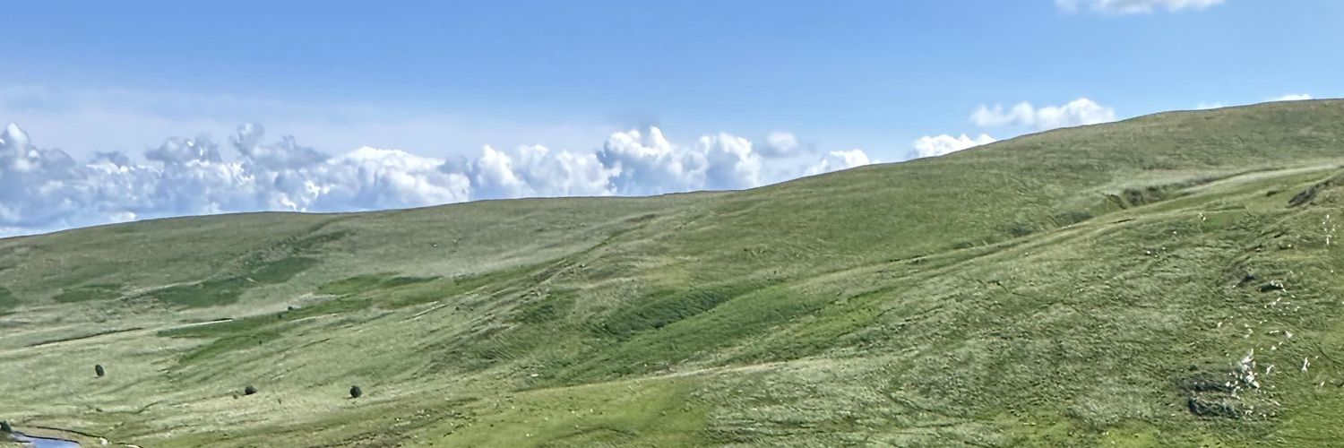 wilding3000's profile banner image