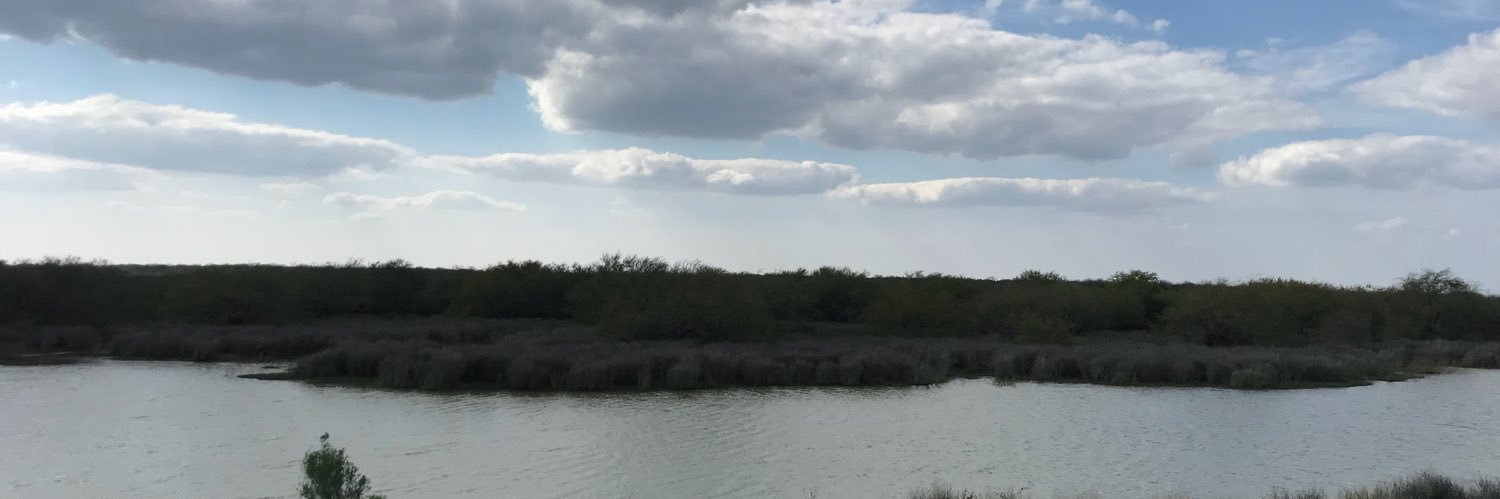 HomeroGGza's profile banner image