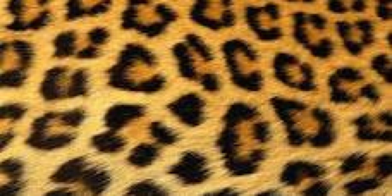 DHattAmbition's profile banner image