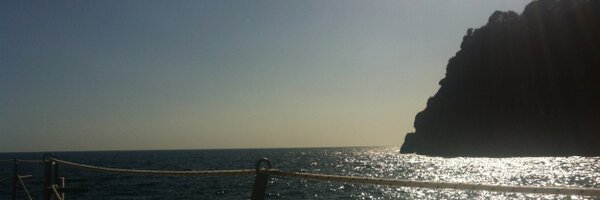 Beanabops Profile Banner