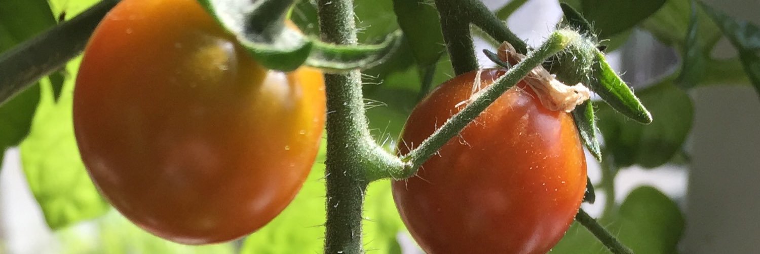 cookbakeeat's profile banner image