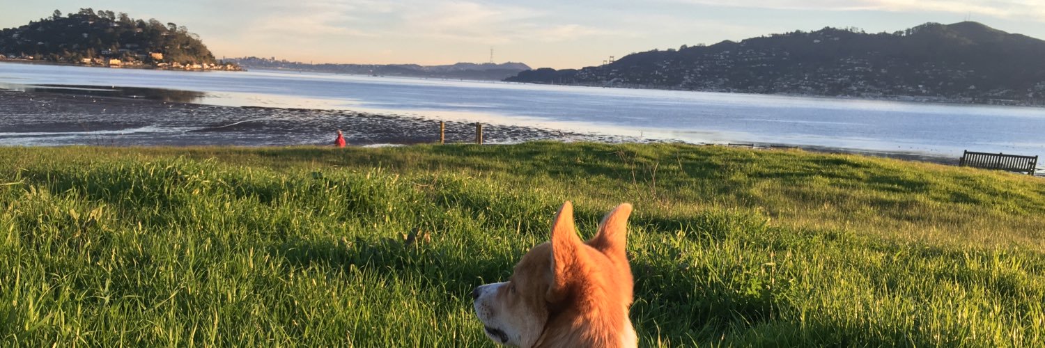 TheMindOfBruce's profile banner image