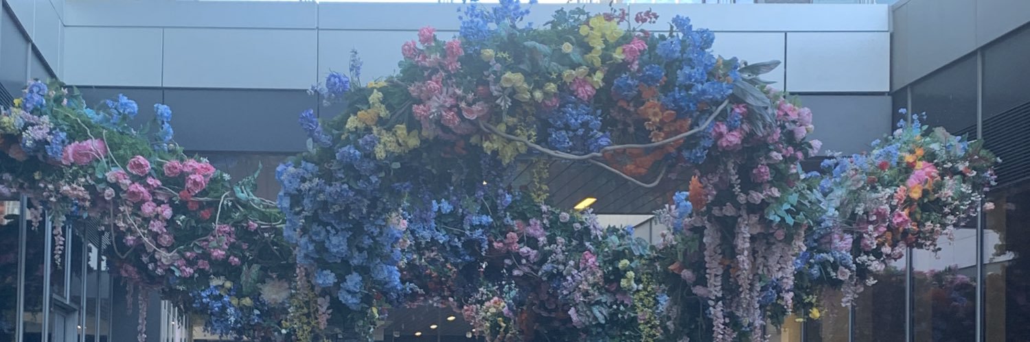 Tashaaboo's profile banner image