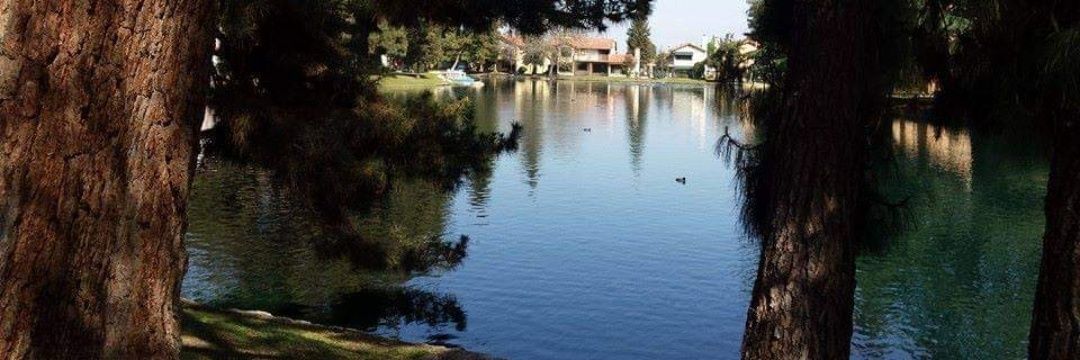 Rome on the Potomac banner