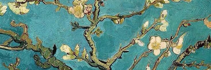 gabisarcinelli's profile banner image
