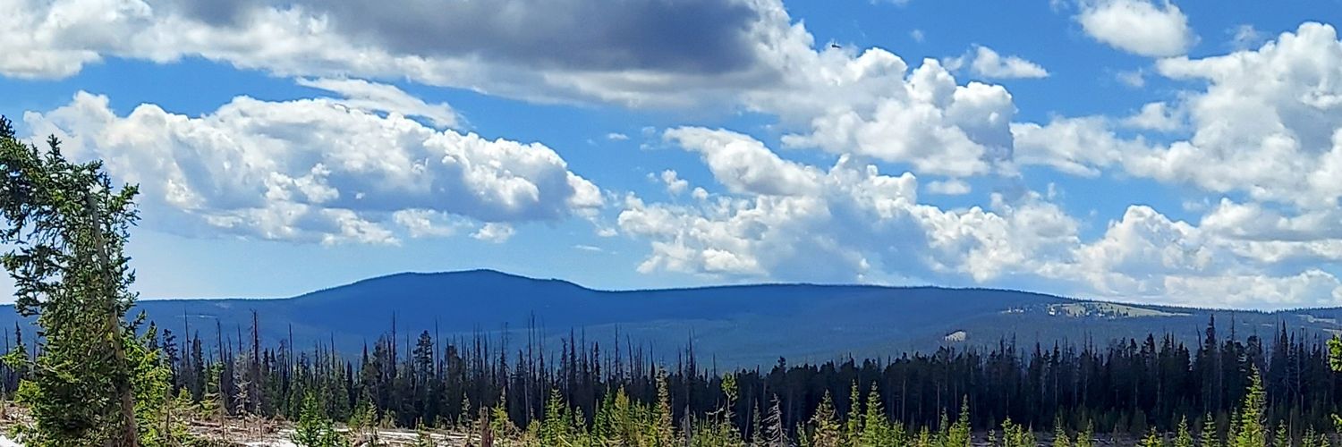 DrLeyDavis's profile banner image