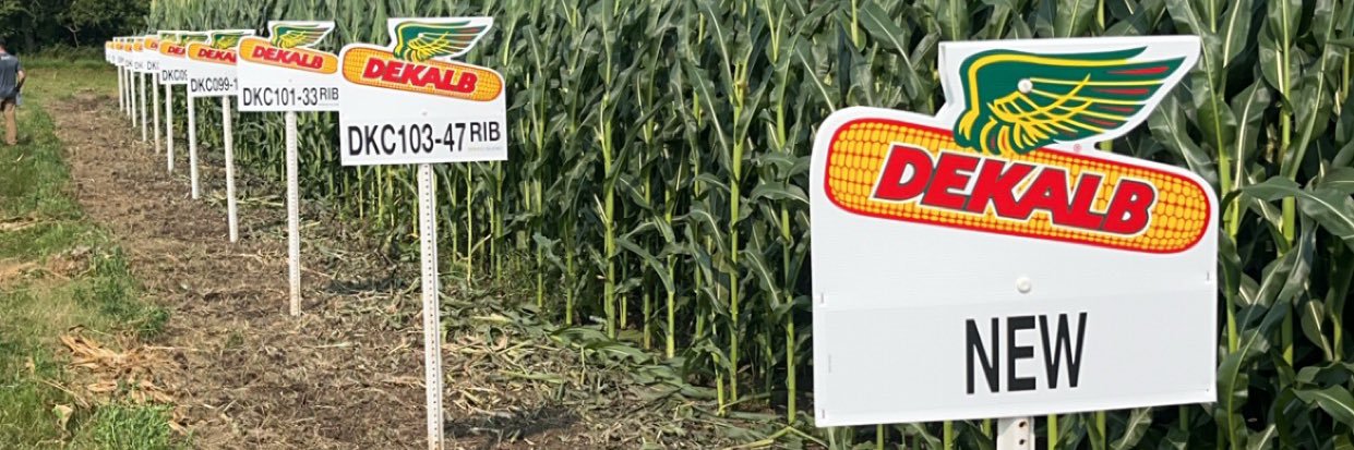 Hunter Pulscher banner