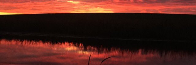 Skibness's profile banner image