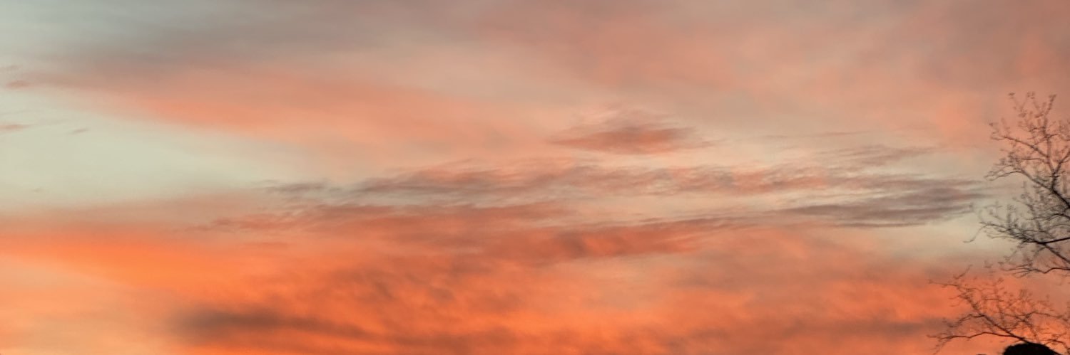 captainbribri's profile banner image