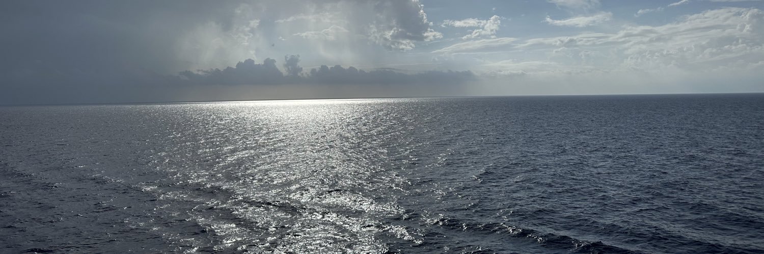 nextlevelburnet's profile banner image