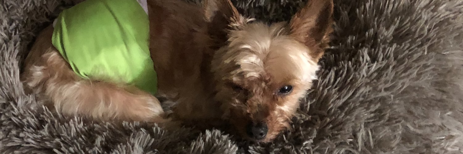 Jake's Mum & Jake banner