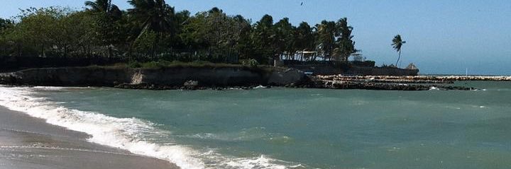 AngelicaPRocha's profile banner image