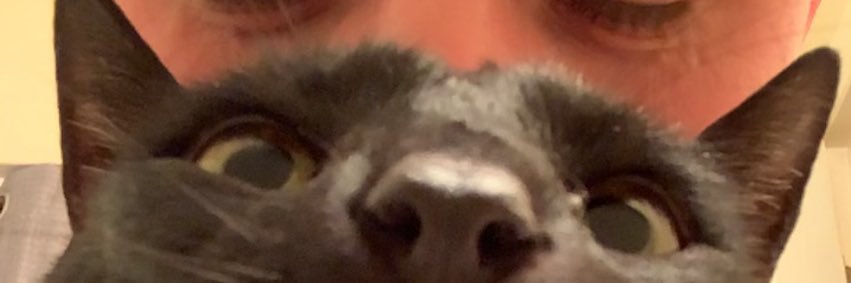 kalebhall__'s profile banner image