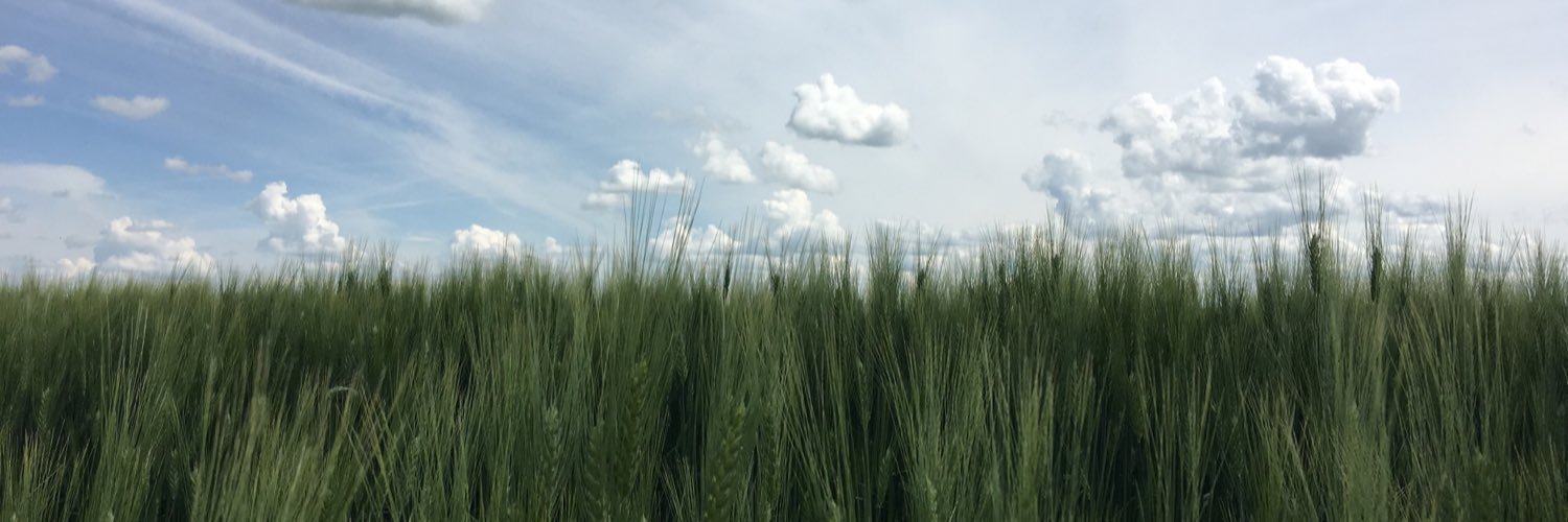 pdyrland's profile banner image