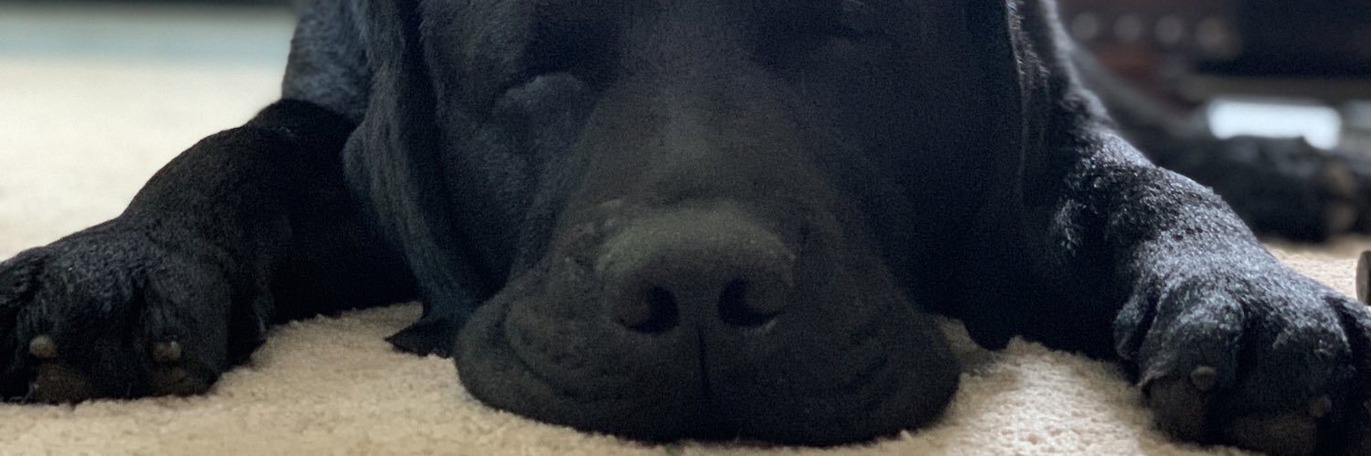 SarahWiessler's profile banner image