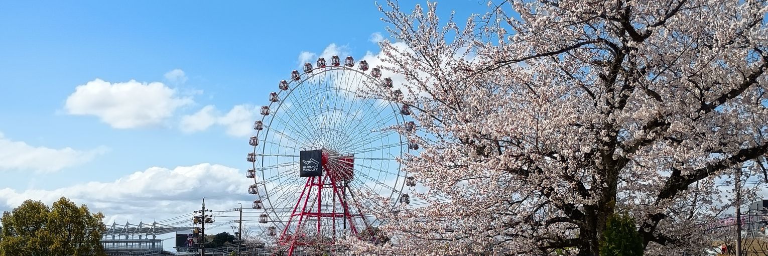 ひでペン（お天気ペンギン） banner