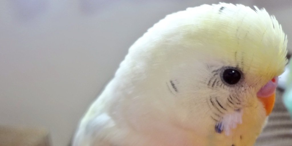 Yuuki9842's profile banner image