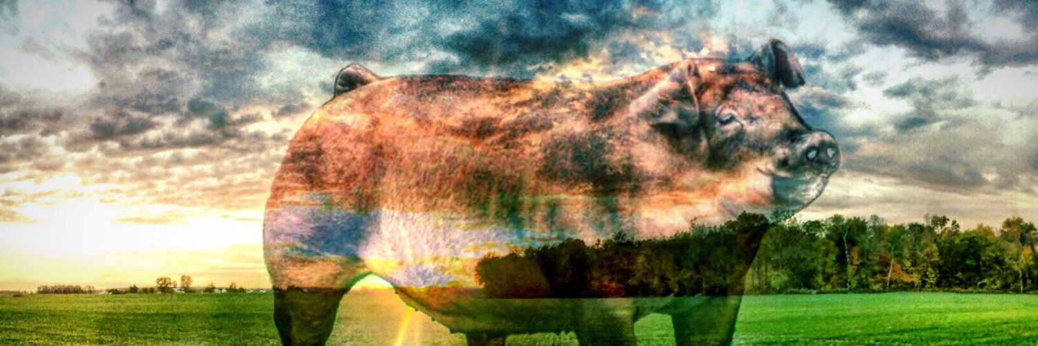 NateLenig's profile banner image