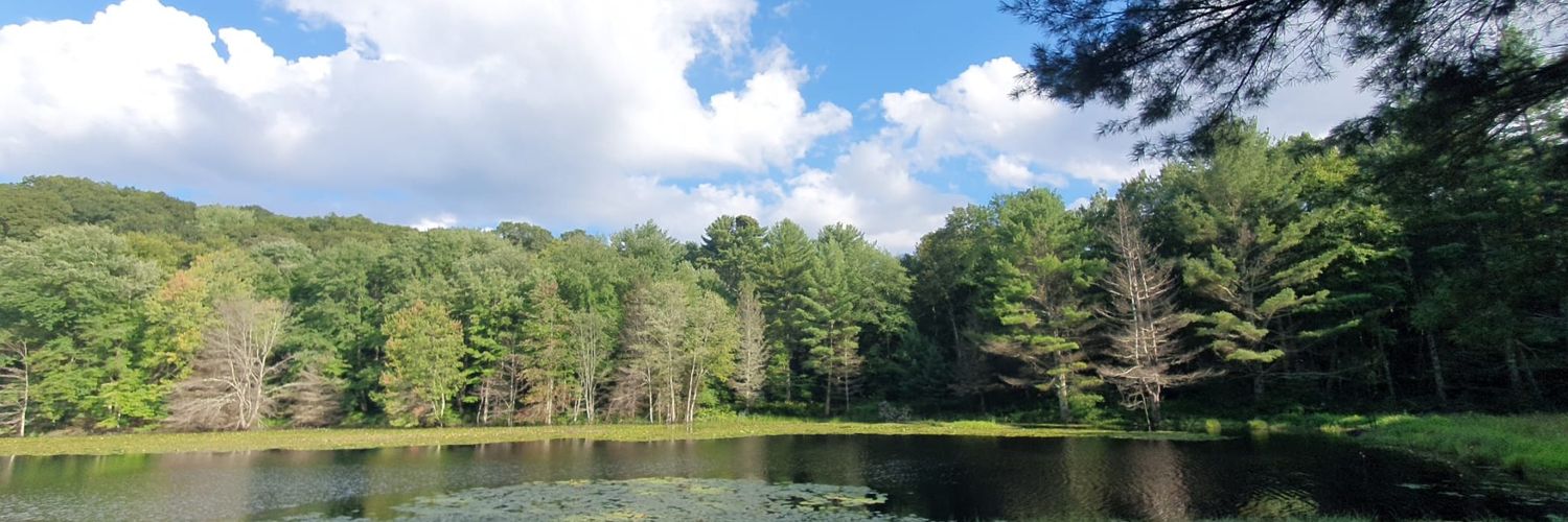 Michael Cerrone banner